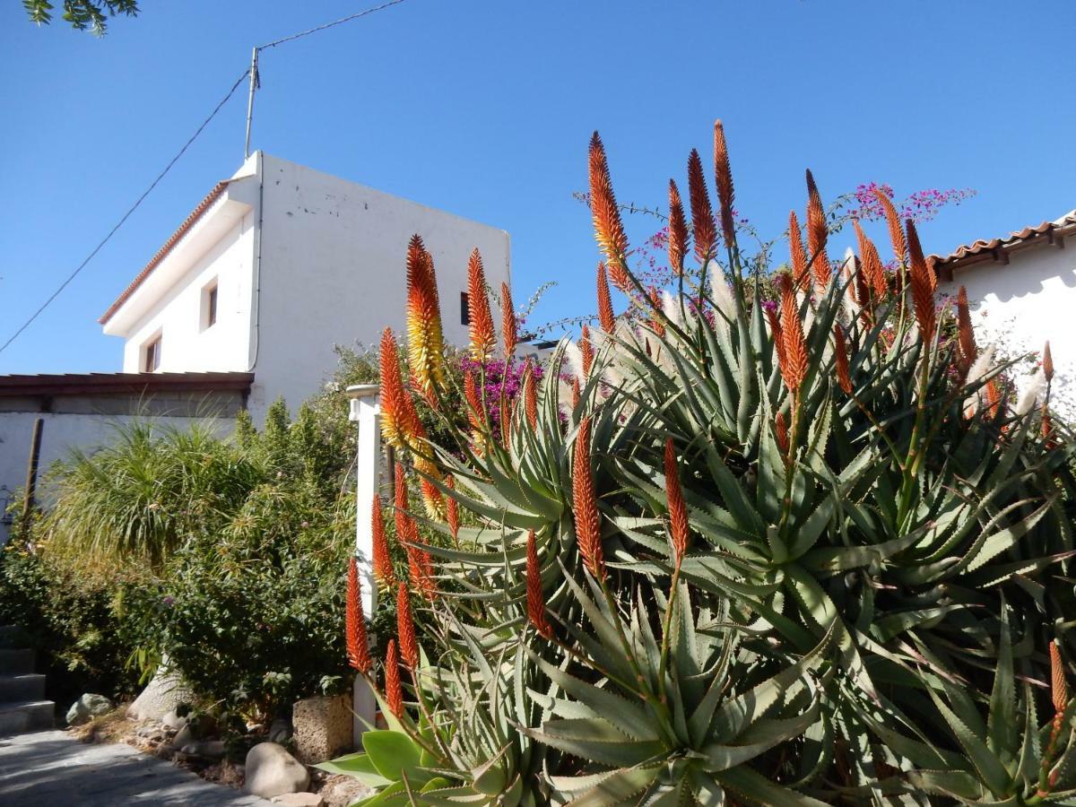 Finca Florida 산미겔데아보나 외부 사진
