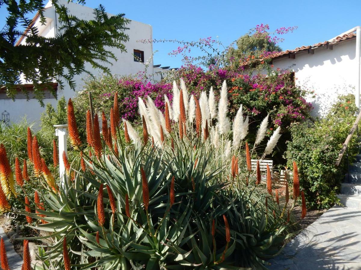 Finca Florida 산미겔데아보나 외부 사진