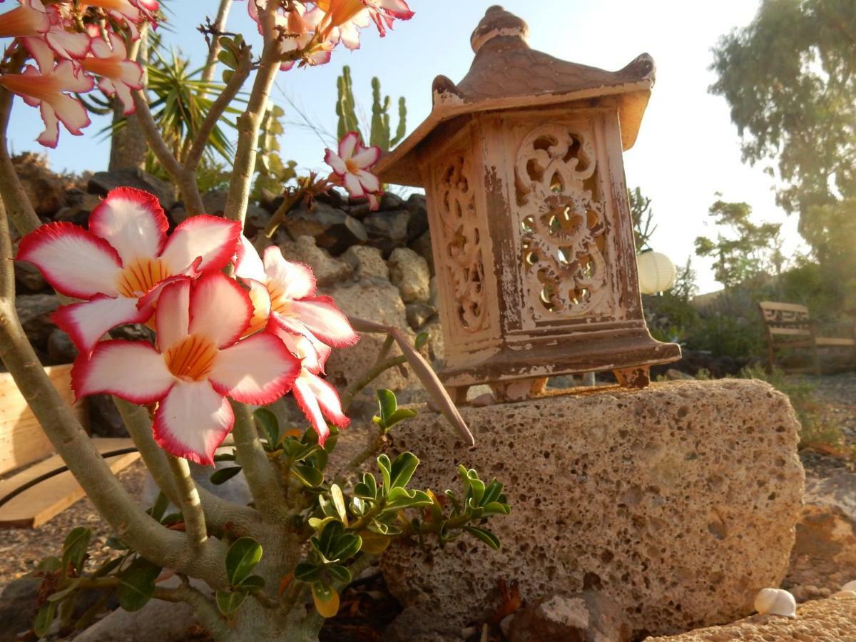 Finca Florida 산미겔데아보나 외부 사진