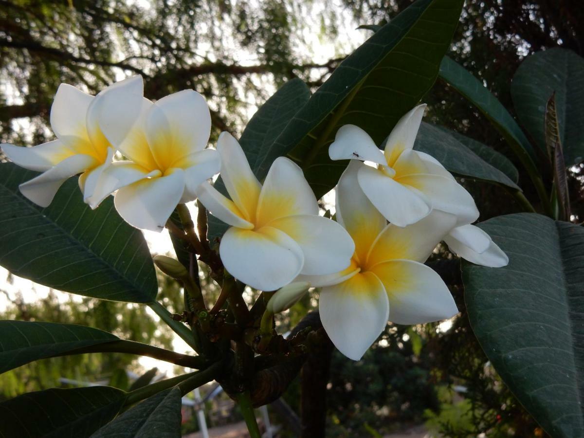 Finca Florida 산미겔데아보나 외부 사진